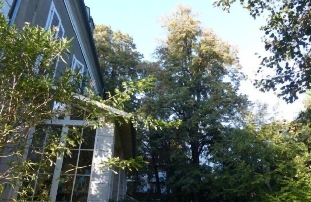 Villa Dampierre-1